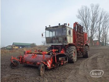 Holmer BKSF, Betupptagare -85  - آلات الحصاد