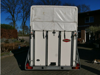 عربة نقل خيل Böckmann Big Master Boden NEU: صورة 3