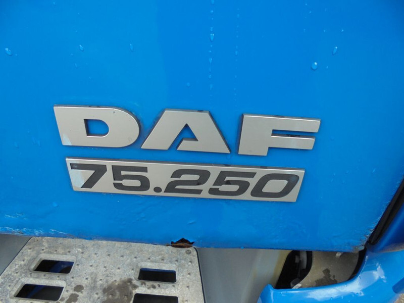 شاحنة بهيكل معدني للمقصورة DAF CF 75.250 + Euro 5: صورة 19