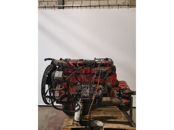 محرك DAF Occ motor daf ws295: صورة 1