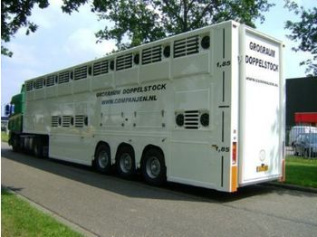 نصف مقطورة للماشية Gray and Adams Doppelstock Companjen Cattle Carrier: صورة 1