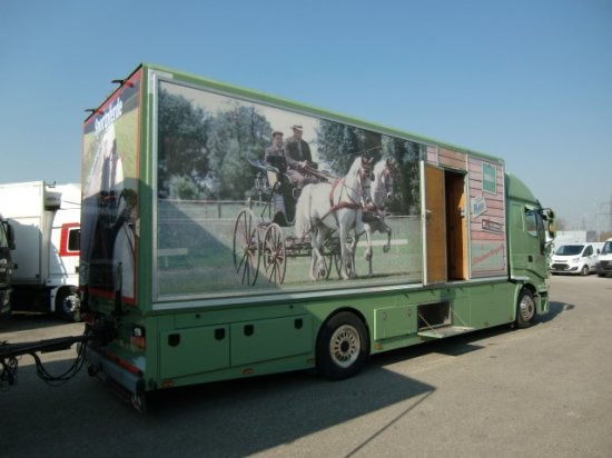 شاحنة نقل خيل Iveco Stralis Spezialkraftwagen Pferdetransport: صورة 4