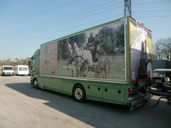 شاحنة نقل خيل Iveco Stralis Spezialkraftwagen Pferdetransport: صورة 5