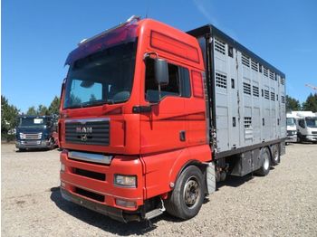 شاحنة ماشية MAN TGA 26.480 6x2 Menke 3 Stock: صورة 1