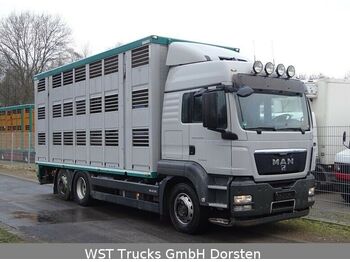 شاحنة ماشية MAN TGX 26.440 LXL Menke   3 Stock Vollalu: صورة 1