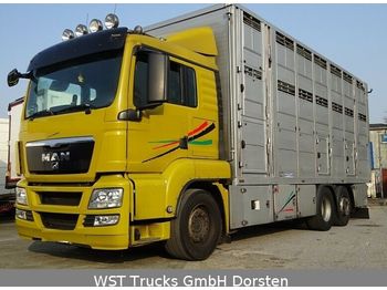 شاحنة ماشية MAN TGX 26.440 LX Menke 3 Stock: صورة 1