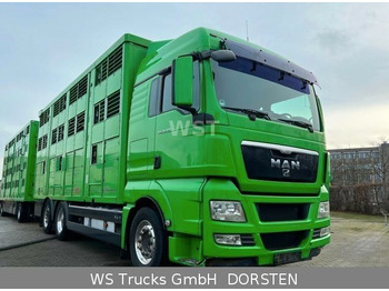 شاحنة ماشية MAN TGX 26.480 XL KABA   3 Stock Vollalu: صورة 2