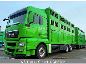 شاحنة ماشية MAN TGX 26.480 XL KABA   3 Stock Vollalu: صورة 4