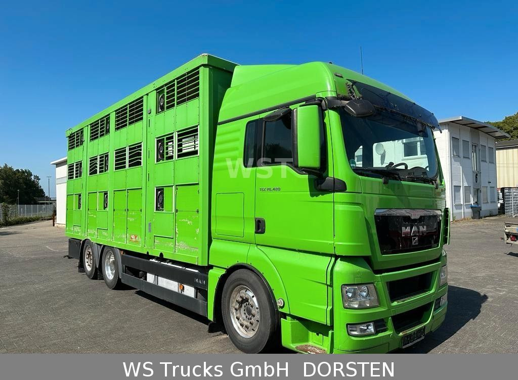 شاحنة ماشية MAN TGX 26.480 XL KABA   3 Stock Vollalu: صورة 9