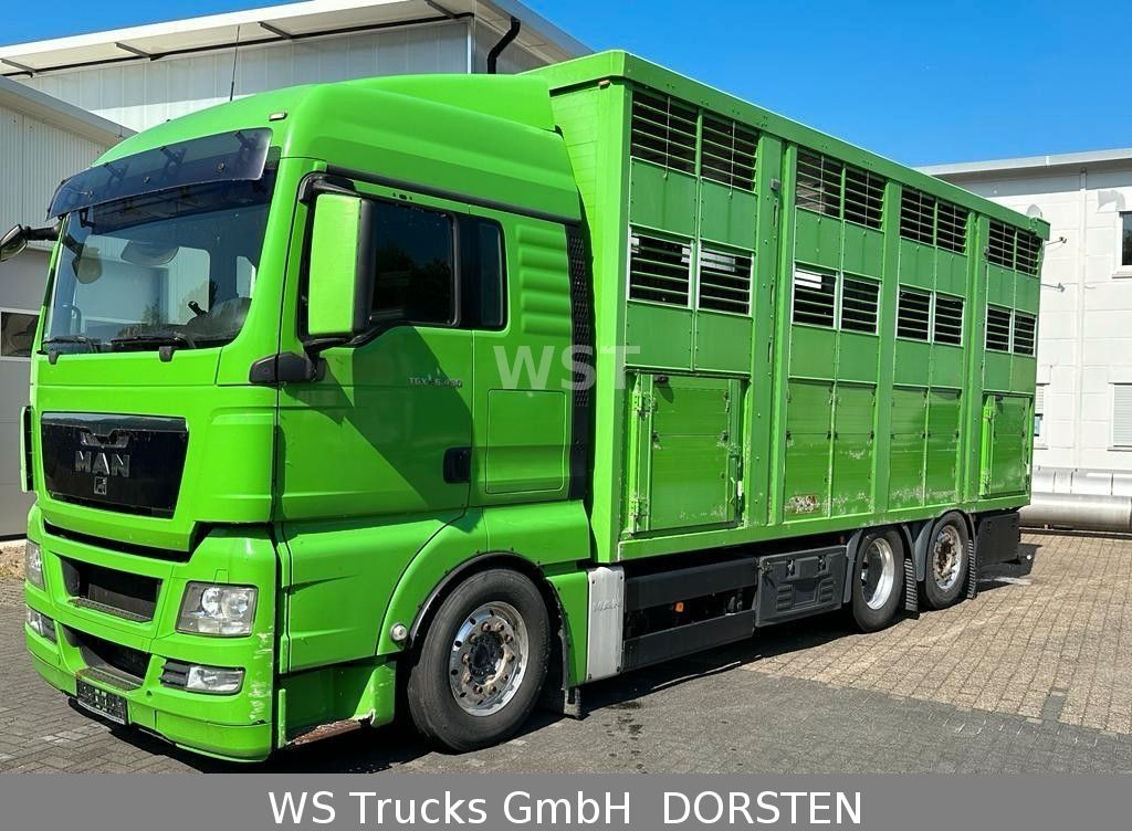 شاحنة ماشية MAN TGX 26.480 XL KABA   3 Stock Vollalu: صورة 7