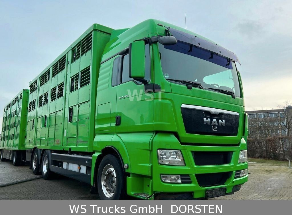 شاحنة ماشية MAN TGX 26.480 XL KABA   3 Stock Vollalu: صورة 5