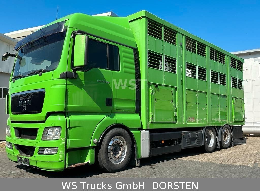 شاحنة ماشية MAN TGX 26.480 XL KABA   3 Stock Vollalu: صورة 6