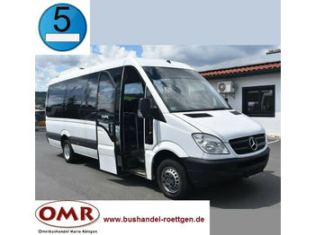 حافلة صغيرة, ميكروباص Mercedes-Benz 516 CDI Sprinter/Crafter/Master/Klima/Euro 5: صورة 1