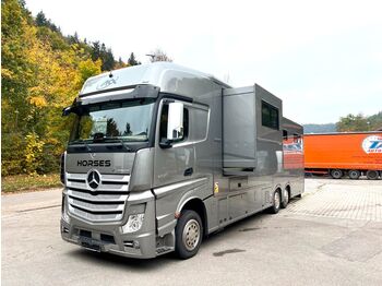 شاحنة ماشية Mercedes-Benz Pferdedetransporter: صورة 1