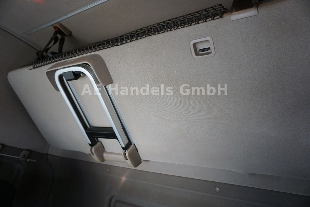 ناقلة حاويات/ شاحنة حاويات Scania R490 TopLine LL BDF *Retarder/ACC/LDW/Lenk+Lift: صورة 22