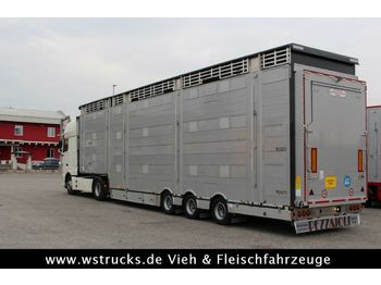 نصف مقطورة للماشية Pezzaioli SBA31-SR 3 Stock Vermietung