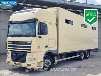 شاحنة نقل خيل DAF XF95.380 6X2 NL-Truck Pferdetransporter Horses Euro 3