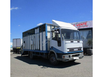 شاحنة ماشية IVECO EuroCargo 80E