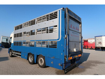 CUPPERS Veebak - شاحنة ماشية