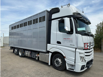 شاحنة ماشية MERCEDES-BENZ Actros 2545