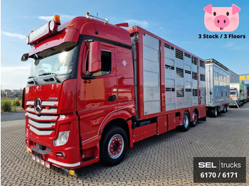 شاحنة ماشية MERCEDES-BENZ Actros