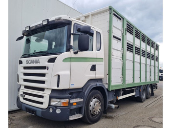 شاحنة ماشية SCANIA R 420
