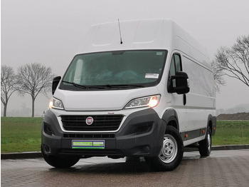 فان FIAT Ducato