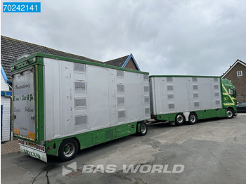 شاحنة ماشية Volvo FH 540 6X2 NL-Truck Cattle transport I-Park Cool ACC Euro 6: صورة 5