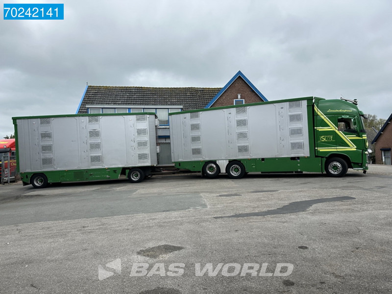 شاحنة ماشية Volvo FH 540 6X2 NL-Truck Cattle transport I-Park Cool ACC Euro 6: صورة 6
