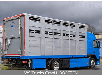 شاحنة ماشية Volvo FM 360 Stehmann 2 Stock Hohe Gitter: صورة 4