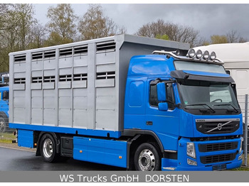 شاحنة ماشية Volvo FM 360 Stehmann 2 Stock Hohe Gitter: صورة 3