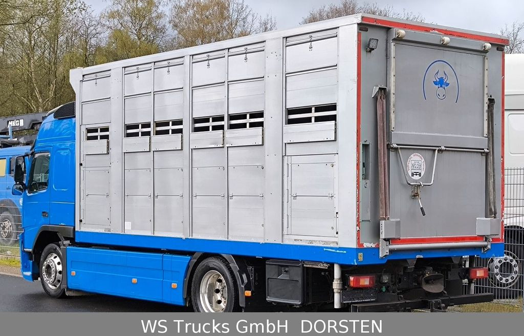 شاحنة ماشية Volvo FM 360 Stehmann 2 Stock Hohe Gitter: صورة 2