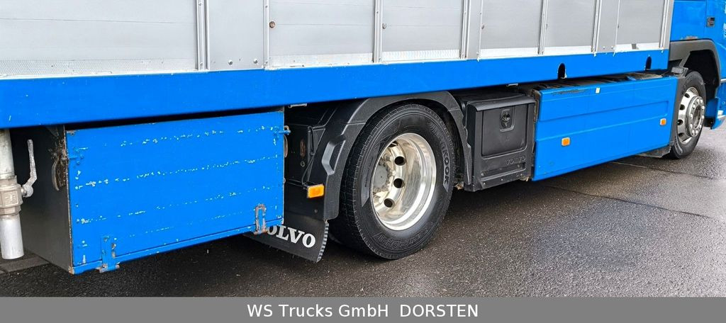 شاحنة ماشية Volvo FM 360 Stehmann 2 Stock Hohe Gitter: صورة 9