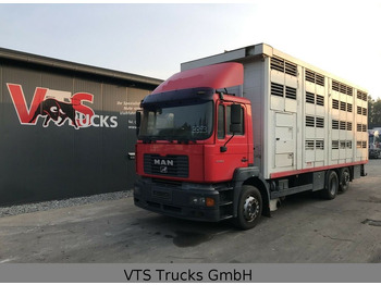 MAN FE 360 4.Stock KABA Viehtransporter  - شاحنة ماشية: صورة 1
