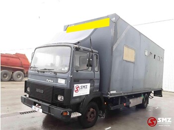 Iveco Magirus 80 16 horse truck - شاحنة ماشية: صورة 3