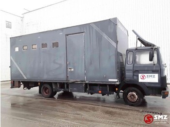 Iveco Magirus 80 16 horse truck - شاحنة ماشية: صورة 4