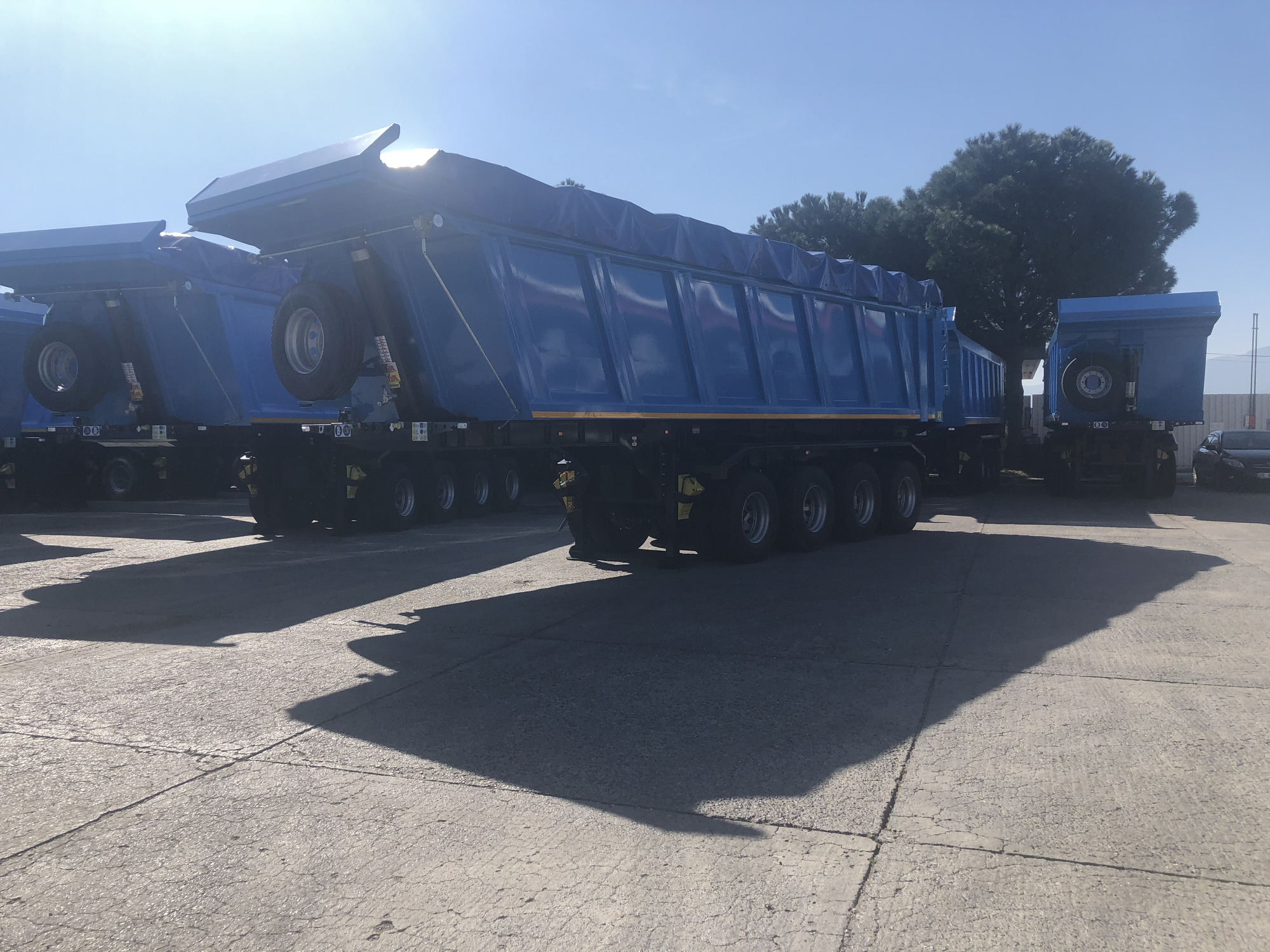 STAR YAGCILAR undefined: صورة 19