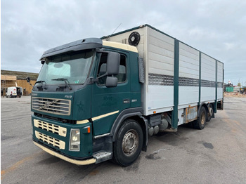 شاحنة نقل خيل VOLVO FM9