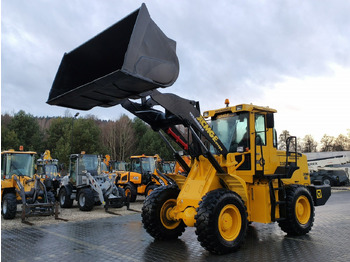 اللودر بعجل XCMG ZL30G