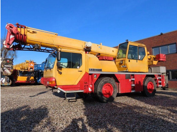 تأجير Liebherr LTM 1030-2.1  Liebherr LTM 1030-2.1: صورة 1