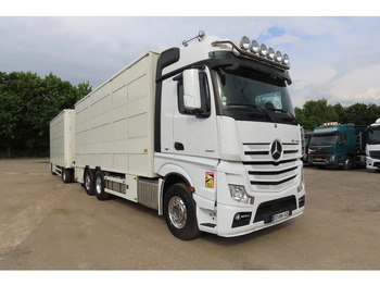 شاحنة ماشية MERCEDES-BENZ Actros 2551