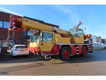 رافعة لجميع التضاريس LIEBHERR LTM 1030-2.1