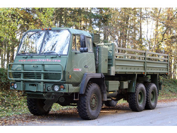 شاحنات مسطحة STEYR