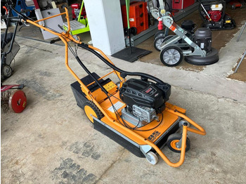 : صورة رأس الصفحة