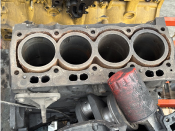 : صورة رأس الصفحة