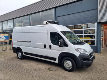 شاحنة توصيل مبردة FIAT Ducato Maxi