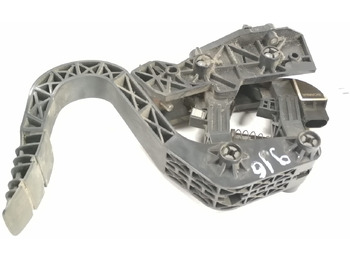 : صورة رأس الصفحة