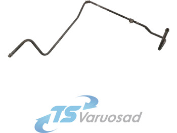 : صورة رأس الصفحة