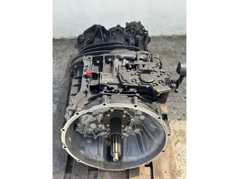 : صورة رأس الصفحة