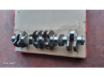 : صورة رأس الصفحة